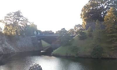 20090111154251.jpg