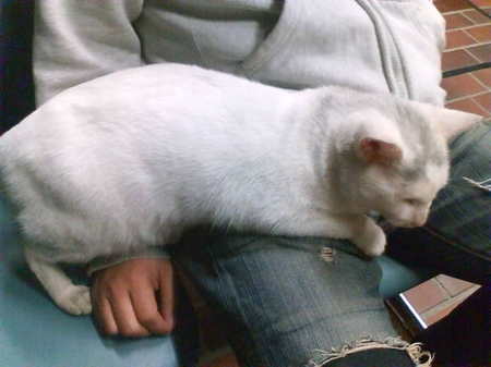 20091103220758.jpg