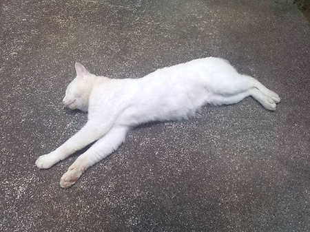 20100706113123.jpg