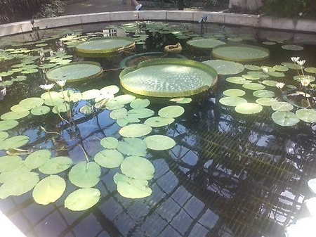 20100718151119.jpg