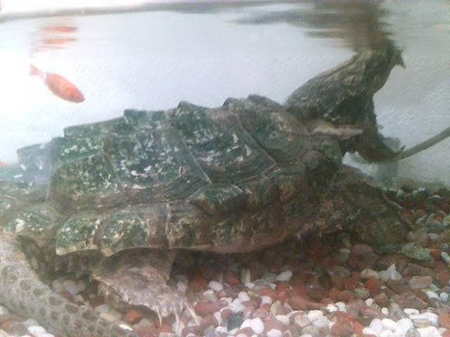 20100718160442.jpg