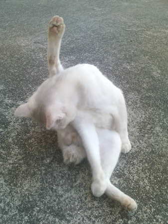 20100722183519.jpg