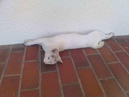 20100726142612.jpg