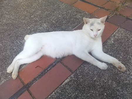 20100727074942.jpg