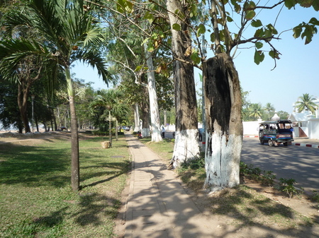 P1010502.jpg