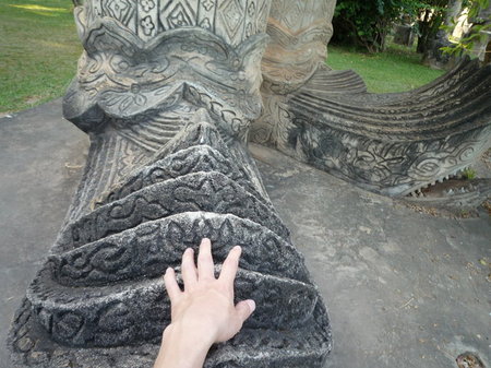 P1010555.jpg