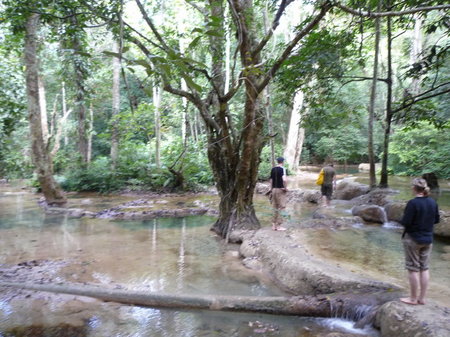 P1010711.jpg