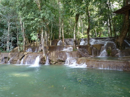 P1010725.jpg